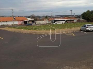Terreno · Terreno em Jardim Santa Antonieta - Marília