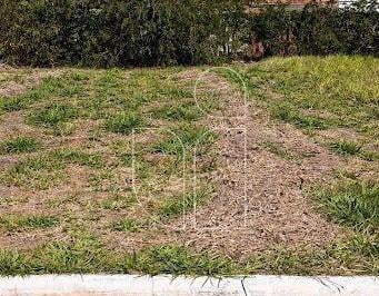 Terreno · 200m² · Antenor Barion - Terreno - em Marília