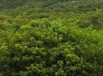 Apartamento à venda, PORTO DANTAS, Aracaju, SE · Apartamento à venda, PORTO DANTAS, Aracaju, SE