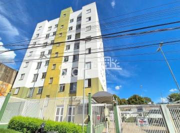 nome imagem · apartamento - Cidade Satélite Íris - Campinas