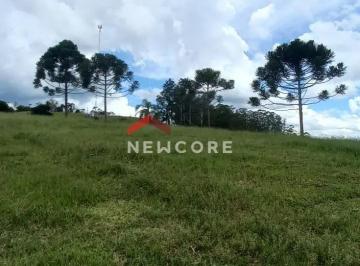 Terreno · 386000m² · Lote em Estrada Silvano - Jardim Colônia - Jacareí/SP