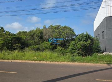 43016632_g.jpg · 
                                Lote à venda em Torres - Praia Itapeva
                            