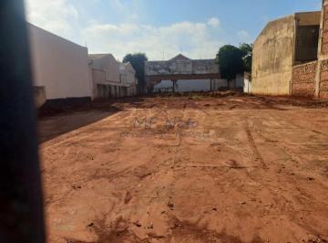 Terreno · 1200m² · Terreno, Centro, Pirassununga, Cod: 10133779