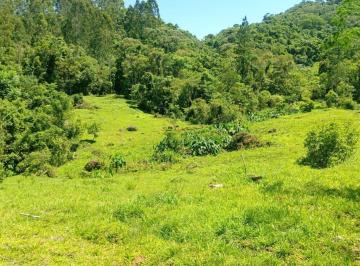 anat013-1 · Sítio de 10 hectares em Anitápolis/SC com rio, nascentes e escritura pública