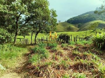 wjetem2ytiwnzm1yja2n2rh_md · Área rural de 3 hectares Santo Amaro da Imperatriz nascente, lavoura pasto vista