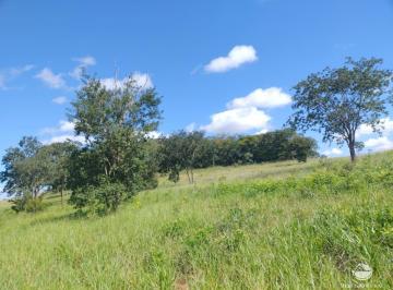 Imagem 1 · Fazenda