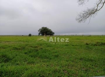 Imagem 1 · Fazenda