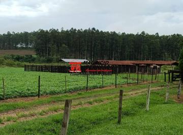 Imagem 1 · Fazenda