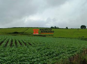 Imagem 1 · Fazenda