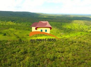 Imagem 1 · Fazenda