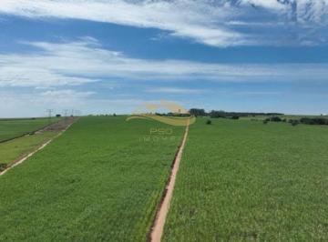 Imagem 1 · Fazenda