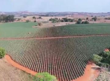 Imagem 1 · Fazenda