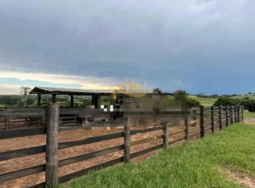 Imagem 1 · Fazenda