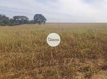 Rural , Luziânia · Fazenda a venda em Luziânia-GO - 50 Hectares - Lavoura - Pecuária - Confinamento - Lazer - HF