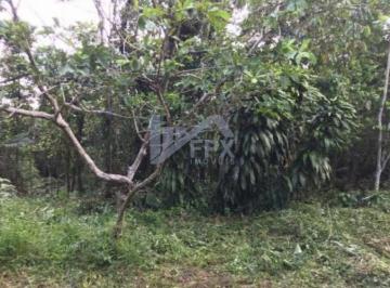 20230615110731581.jpg · Chácara para Venda em Itanhaém, Jardim São Fernando