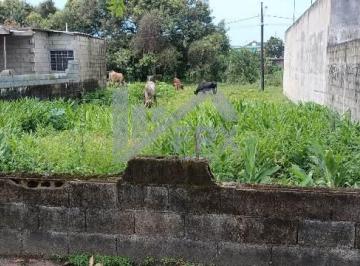 20230105140949241.jpg · Terreno para Venda em Itanhaém, Balneário Gaivota
