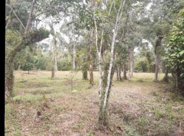 202502271638374791.jpg · Terreno para Venda em Itanhaém, Parque Vergara