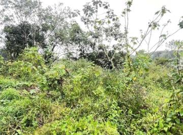 202507051014341644.jpg · Terreno para Venda em Itanhaém, Jardim Coronel