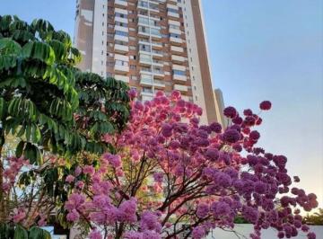 Apartamento de 2 quartos, Águas Claras · TOWER CLUB RESIDENCE QUADRA 206 ANDAR ALTO VISTA LIVRE FINANCIAMENTO
