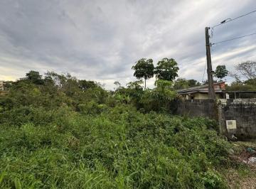 202510181158566819.jpeg · Terreno para Venda em Itanhaém, Balneário Gaivota