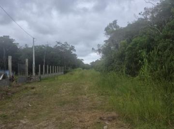 202603091251024702.jpeg · Terreno para Venda em Itanhaém, Luizamar Mirim