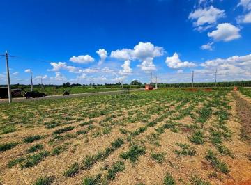 Terreno · 176m² · Terreno à venda em Saltinho, Loteamento Bela Vida