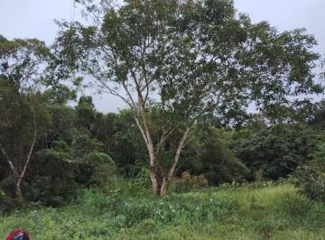 Terreno en Venda  Balneário Gaivotas · Terreno com escritura em Itanhaém - R$ 60.000,00.