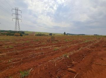 Terreno · 1000m² · Terreno para alugar em Piracicaba, Conceição