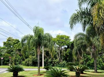 Terreno · 365m² · Terreno em Parque Dom Henrique, Cotia/SP de 365m² à venda por R$ 359.900,00
