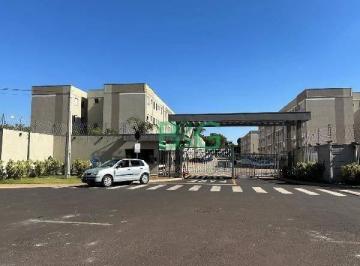 Apartamento · 43m² · 2 Quartos · Apartamento em Valentina Figueiredo, Ribeirão Preto/SP de 43m² 2 quartos à venda por R$ 85.623,96