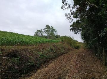 Terreno · 20000m² · Terreno em , São Pedro de Alcântara/SC de 0m² à venda por R$ 650.000,00