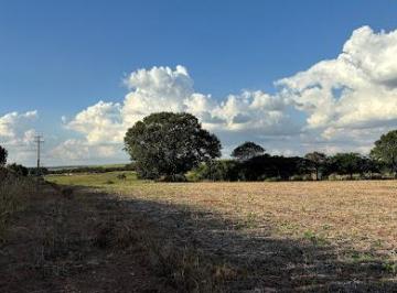 Rural · 240000m² · 4 Quartos · 4 Vagas · Sítio em Centro, Jaguariúna/SP de 0m² 4 quartos à venda por R$ 14.400.000,00