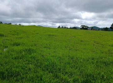 Terreno · 73640m² · Área em Ipelândia, Suzano/SP de 0m² à venda por R$ 7.000.000,00