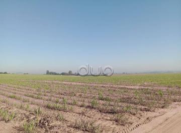 Rural · 1m² · 1 Quarto · Fazenda em Centro, Piracicaba/SP de 1m² 1 quartos à venda por R$ 9.000.000,00