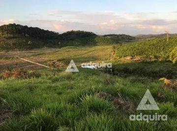 Rural · 10m² · 4 Quartos · Fazenda em , Iguape/SP de 10m² 4 quartos à venda por R$ 7.500.000,00