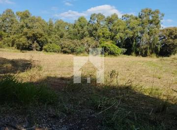 Terreno · 71809m² · Área em Jardim das Tulipas, Jundiaí/SP de 71809m² à venda por R$ 82.750.000,00