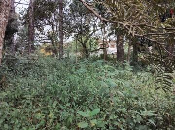 Terreno · 586m² · Terreno em Gramado, Cotia/SP de 586m² à venda por R$ 400.000,00