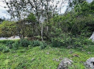 Terreno · 471m² · Terreno em Córrego Grande, Florianópolis/SC de 0m² à venda por R$ 480.000,00