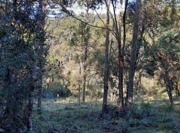 Terreno · 27000m² · Terreno em , Urubici/SC de 0m² à venda por R$ 455.000,00