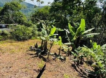 Terreno · 525m² · Terreno em Córrego Grande, Florianópolis/SC de 0m² à venda por R$ 429.000,00