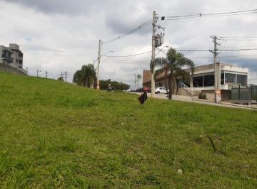 Terreno · 704m² · Terreno em Sítio Boa Vista, Cotia/SP de 0m² à venda por R$ 1.000.000,00