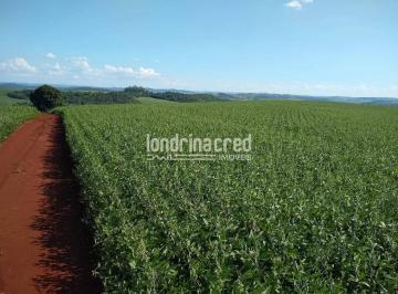 Terreno · 10m² · Terreno em Rural, Assaí/PR de 10m² à venda por R$ 1.175.000,00