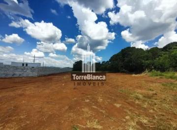Terreno · 10m² · Terreno em Cará-cará, Ponta Grossa/PR de 10m² à venda por R$ 1.990.000,00