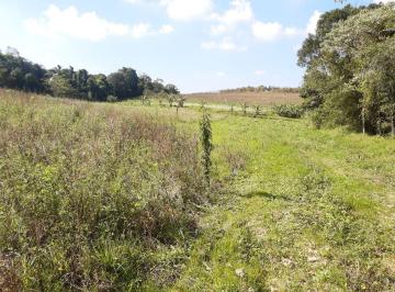 Terreno · 26000m² · Área em Vila São Francisco, Cotia/SP de 0m² à venda por R$ 1.040.000,00