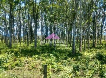 Terreno · 10m² · Terreno em Barranco Alto, Caraguatatuba/SP de 10m² à venda por R$ 1.990.000,00
