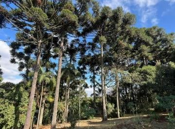 Rural · 140m² · 6 Quartos · Chácara em São Miguel, Curitiba/PR de 140m² 6 quartos à venda por R$ 1.900.000,00