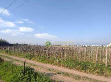 Terreno Venda R$ 1.600.000 · Terreno em Praia de Fora, Palhoça/SC de 0m² à venda por R$ 1.600.000,00