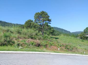 Terreno · 450m² · Terreno em Itacorubi, Florianópolis/SC de 0m² à venda por R$ 1.626.000,00