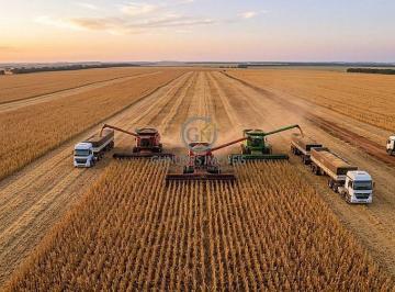 Alta performance no campo: colheita mecanizada em ritmo acelerado na safra mato-grossense. · Fazenda 7.200 ha à Venda em Querência - MT | 15 Anos Lavoura