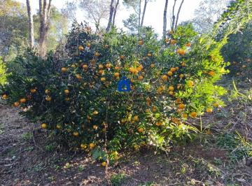 202508081549362613.jpg · Sítio / Chácara para Venda em Campo Magro, Conceição da Meia Lua, 1 banheiro, 1 vaga